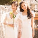 멥시 Daum카페