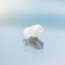 용두치과의원 이미지