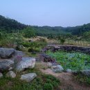 기와집가든 이미지