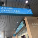 보듬펫 | [홍천] 관광 곤돌라, 테라로사, 유기견 입양가정 혜택, 플레이그라운드, 띵킹독