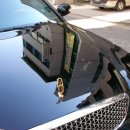 다이너스티 이미지