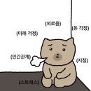 현승타이어 | 올해 토요일 4번 남음.. 11월기록