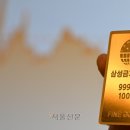 종로구 골드 서울신문