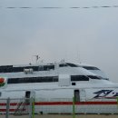 썬풀라워 이미지