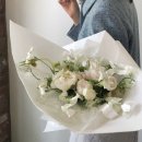 세느앤발렌 이미지