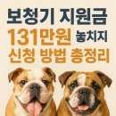 국보의료기보장구수리센터 | 보청기 지원금 131만원 놓치지 마세요! 신청 방법 총정리