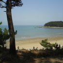 바다랑B펜션 이미지