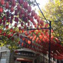 만두한판 이미지