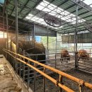 늘찬목장 이미지