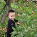 YMCA 어린이집 이미지