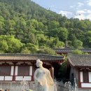 중국 시안 여행｜화청궁 (화청지) 티켓 예매, 관람 후기, 방문팁