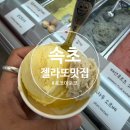 주)중앙관광여행사주 | [강원도/속초]속초중앙시장 맛집 '포코아포코' 수제...내돈내산 솔직 후기 (ft. 감동적인 서비스)