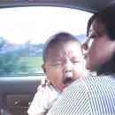 미항병설유치원 이미지