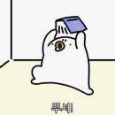 ADsP 데이터분석 준전문가 자격증 42회 합격후기 (시험소개 / 학습기간 및 방법 / 공부꿀팁)