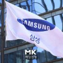 개미카 이미지