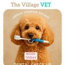 The Village Veterinary Hospital 오픈 안내 이미지