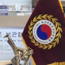 다빛 태권도장 이미지