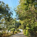 그림으로 만나는 힐링 보테니컬 아트 이미지