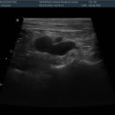 신동동물병원 이미지