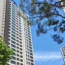 중앙동132 이미지