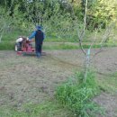 청전농장 이미지