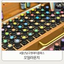 미소농장(생산종류: 고양이) | 오일라운지 울산남구원데이클래스 후기 향기로 치유받는 시간