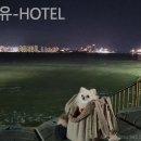 더블유-hotel