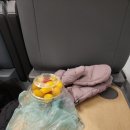 비아라테 | [몬트리올] 1박 2일 + 비아레일 타고 오타와 | 푸틴 맛집