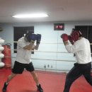 임하식 권투체육관 이미지