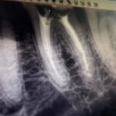남문치과의원 이미지