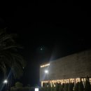 516로 | 제주 서귀포 가족여행 숙소 추천 벨룸리조트 후기