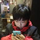 꼬시닭 이미지