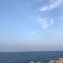 D00835 이미지