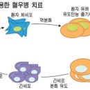 가위로마법처럼 이미지