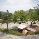 충주 반딧불 오토 캠핑장 이미지