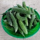 여주-0049 이미지