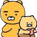 디자인라이언