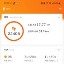 삼향천3 이미지
