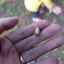 용인아이숲유아숲체험원 이미지