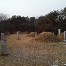반남박씨 대종중 묘역 이미지