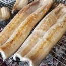만수정 아래 네이버블로그