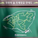 26년 8월 28일 대관령 국민의숲 트레킹 &amp;주문진(총회) 이미지