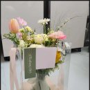 나비원주