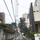 고베의 추억