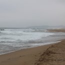 예뫼송동호바다 이미지