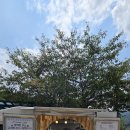 연세메디하임병원 이미지