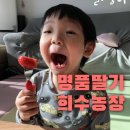 희수농장 이미지