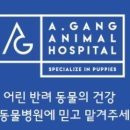 어강동물병원 이미지