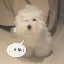 10월 주간일기 ①