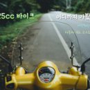 패션양재(야간) 이미지